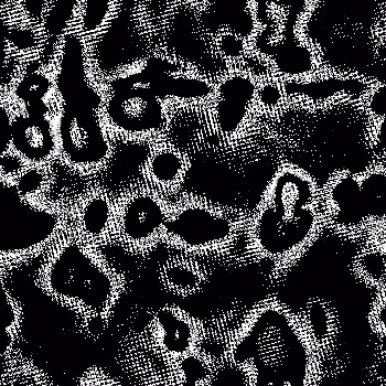 Noise #19 