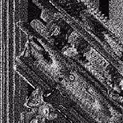 Noise #36 