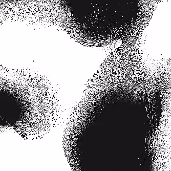 Noise #853 