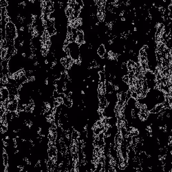Noise #681 