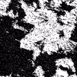 Noise #657 