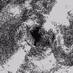 Noise #698 