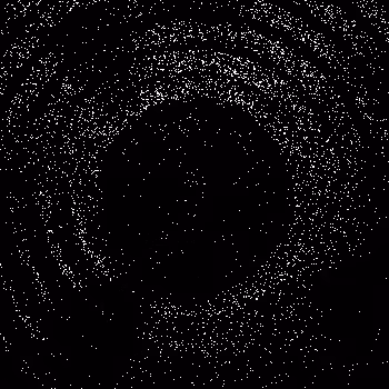 Noise #1009 