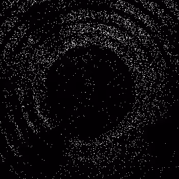 Noise #1009 