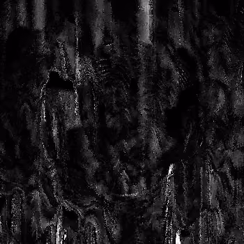 Noise #1006 