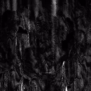 Noise #1006 