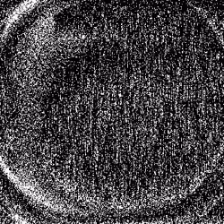 Noise #623 