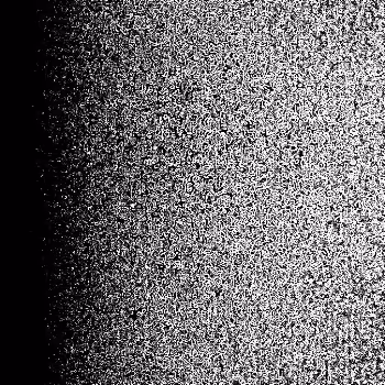 Noise #33 