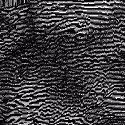 Noise #428 