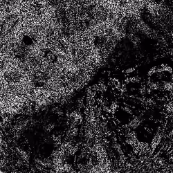 Noise #935 