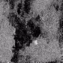 Noise #358 
