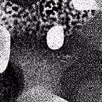 Noise #1019