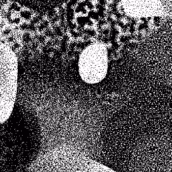 Noise #1019