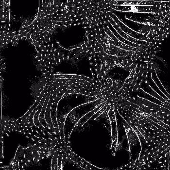 Noise #322 