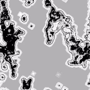 Noise #1015 