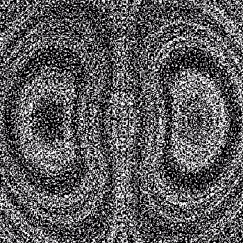 Noise #1018 