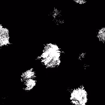 Noise #1002 