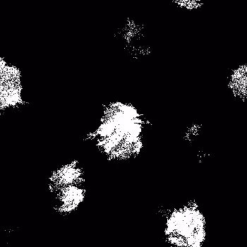 Noise #1002 