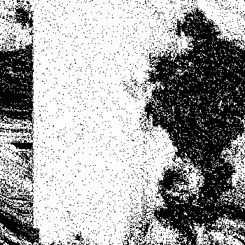 Noise #117 
