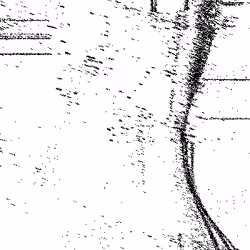 Noise #771 
