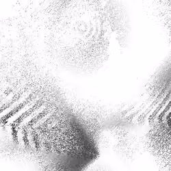 Noise #835 