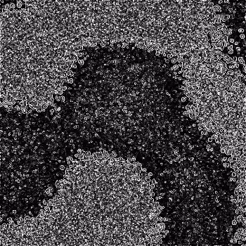 Noise #31 