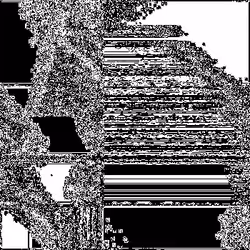 260