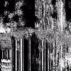 Noise #265