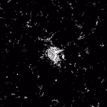 Noise #234 