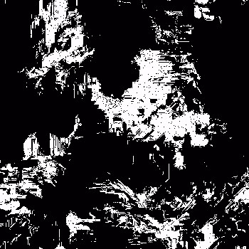 Noise #362