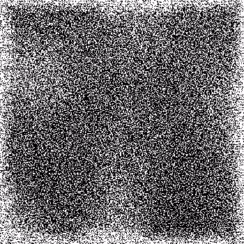 Noise #978 