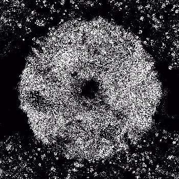 Noise #259