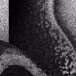 Noise #741 