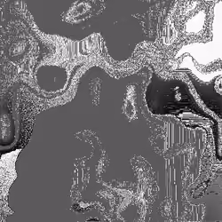 Noise #101 