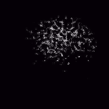 Noise #1008 