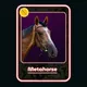Omnihorse Test