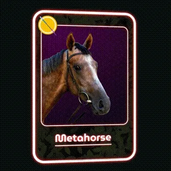 Omnihorse Test