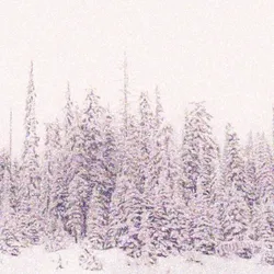 seasons delight