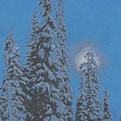 wintermoon