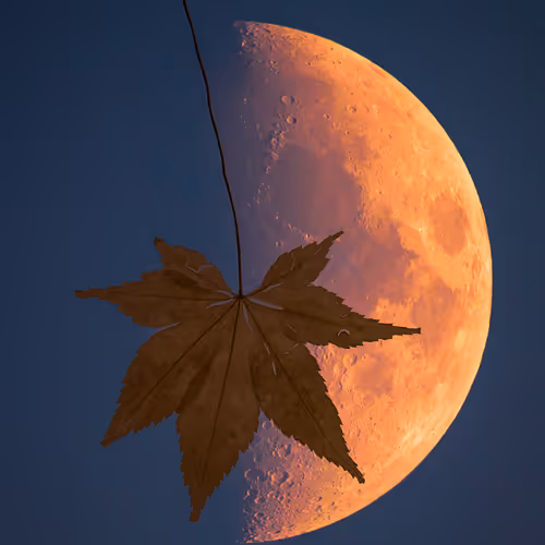 Look At The Moon V3