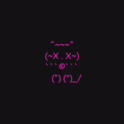 Cats #24