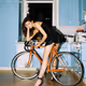 Multiple-stage bicycle race in your apartment