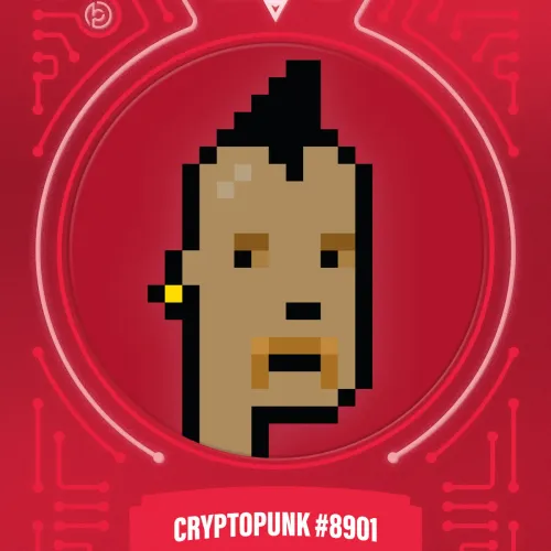 Blokpaxfirsteditions Punksseries1