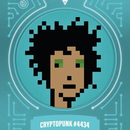 Blokpaxfirsteditions Punksseries1