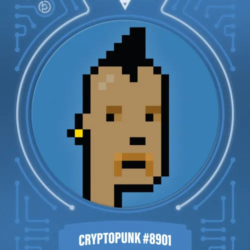 Blokpaxfirsteditions Punksseries1