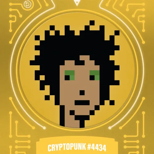 Blokpaxfirsteditions Punksseries1