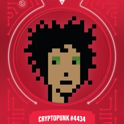 Blokpaxfirsteditions Punksseries1