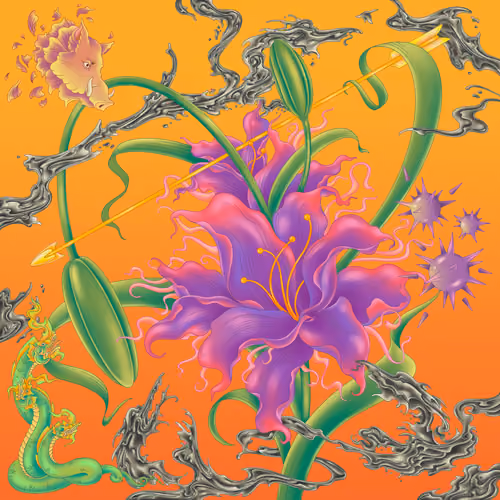 Visions of Flight #243