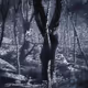 Ink Wash Grove  Stone