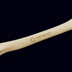 MWC Bone #833